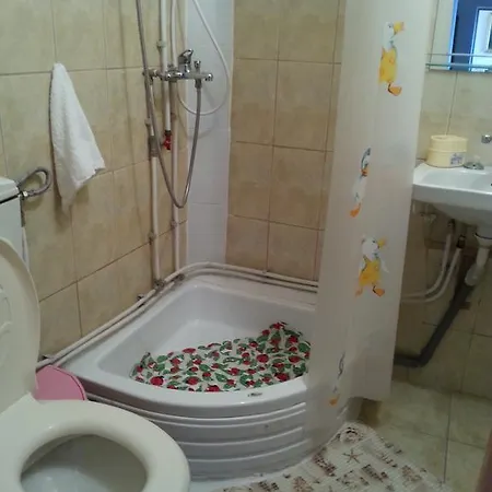 Auntie's Penthouse Appartamento *